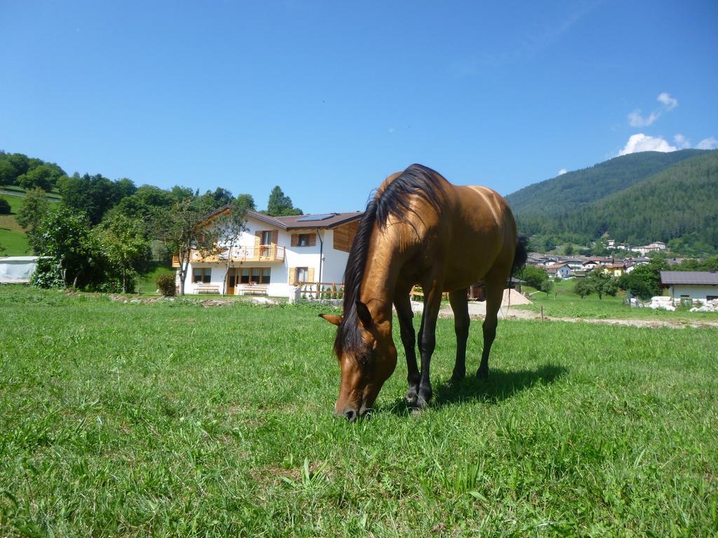Agriturismo Fattoria Dalcastagne Torcegno Eksteriør bilde