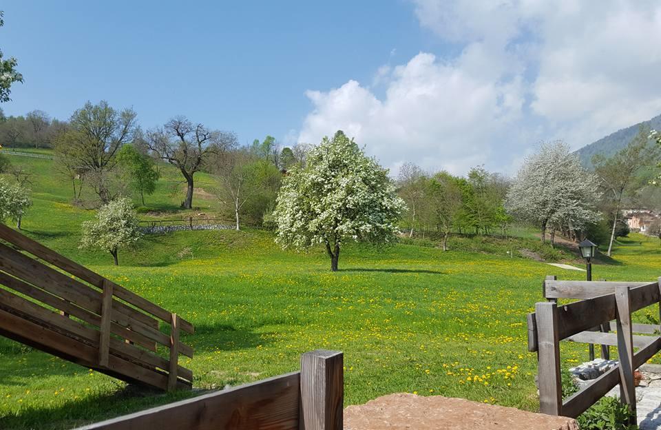Agriturismo Fattoria Dalcastagne Torcegno Eksteriør bilde