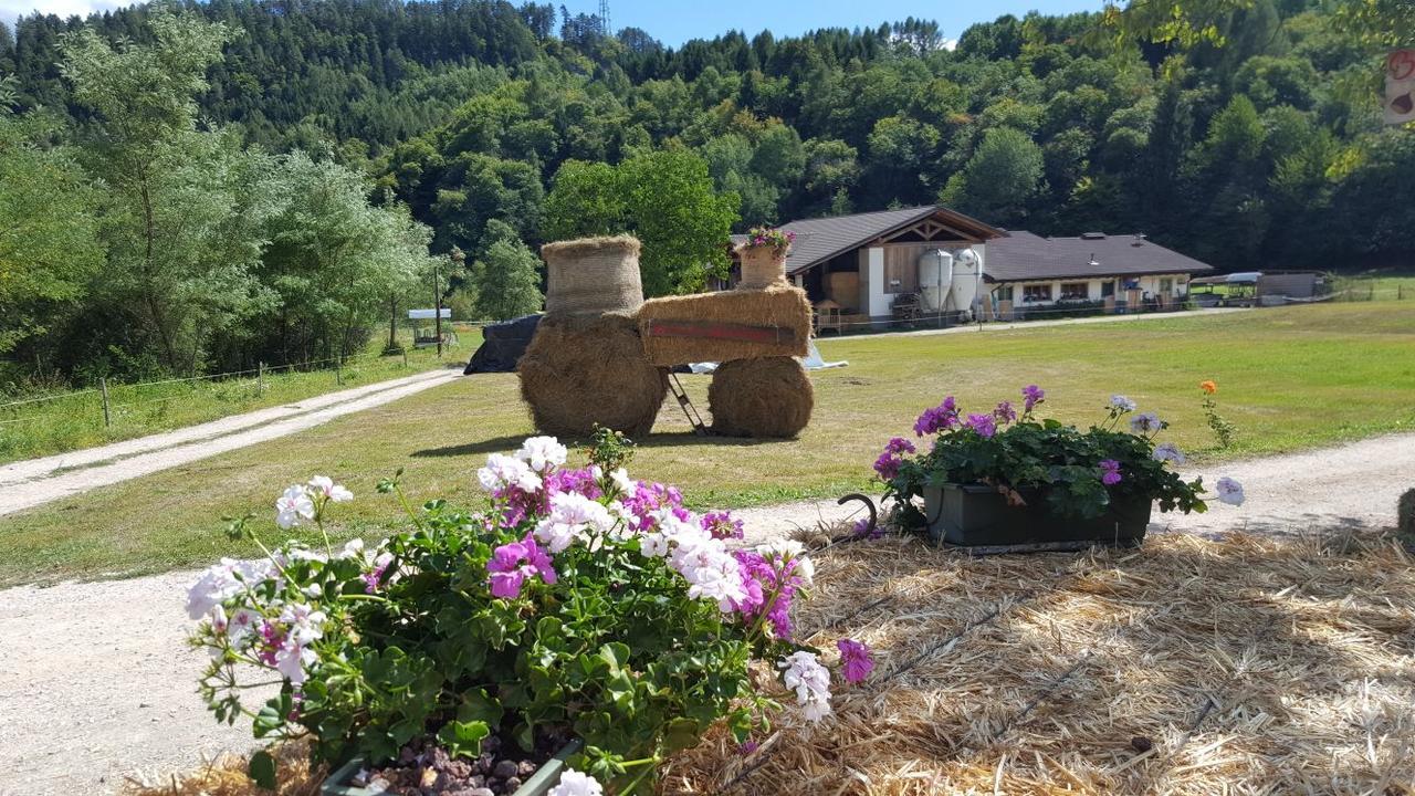 Agriturismo Fattoria Dalcastagne Torcegno Eksteriør bilde