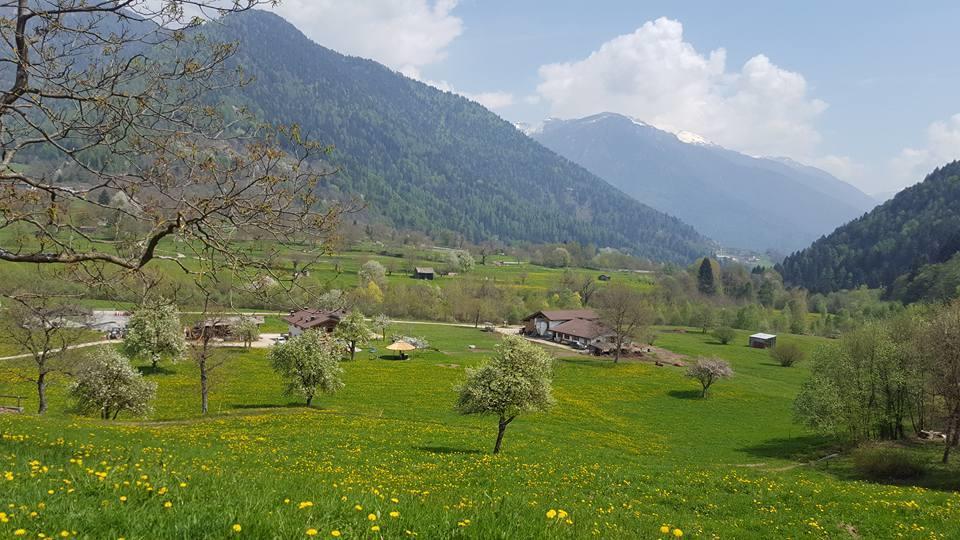 Agriturismo Fattoria Dalcastagne Torcegno Eksteriør bilde